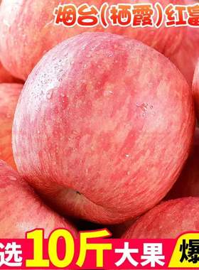 新鲜正宗山东栖霞红富士脆甜苹果水果10烟台富士苹果10斤整箱