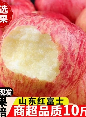 正宗山东红富士苹果新鲜水果应当季整箱非烟台萍果脆甜10丑平果