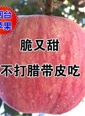 山东烟台大苹果新鲜水果 栖霞红富士非黄元帅脆甜应季5斤10斤包邮