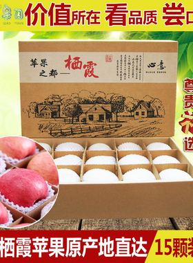 山东烟台栖霞苹果85# 红富士苹果礼盒装 新鲜苹果水果