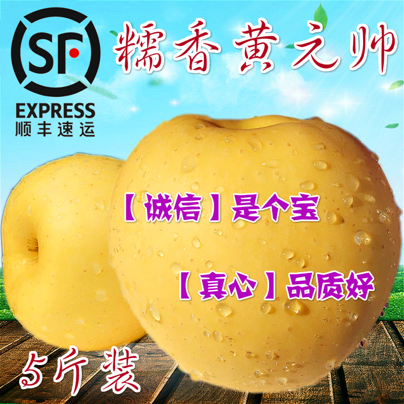 黄元帅 新鲜水果烟台香蕉粉面沙苹果金帅吃的宝宝刮泥5斤10斤