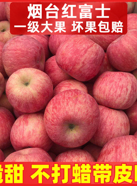 山东烟台红富士苹果脆甜栖霞一级当季新鲜水果10斤整箱包邮萍果