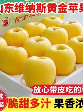 山东黄金维纳斯苹果新鲜应当季水果烟台苹果非黄元帅奶油富士整箱