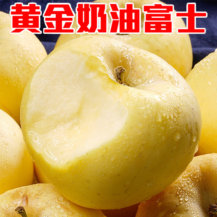 山东烟台栖霞酸甜黄金奶油富士苹果当季新鲜水果现摘现发自然成熟