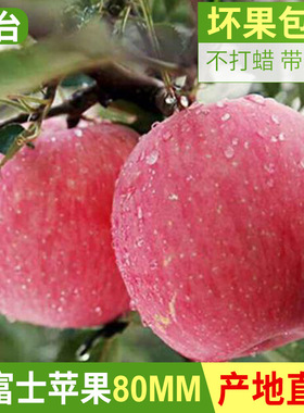 烟台红富士苹果10斤水果新鲜应当季栖霞萍果冰糖心丑平安果整箱