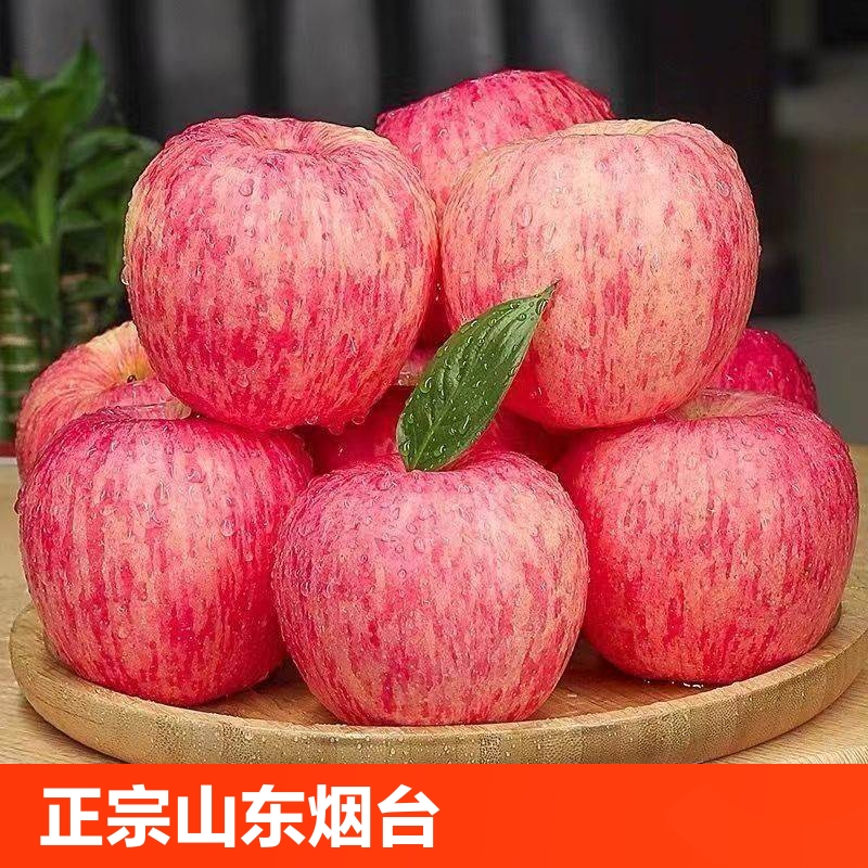 正宗山东烟台红富士苹果冰糖心脆甜新鲜水果精选现摘现发9斤果园