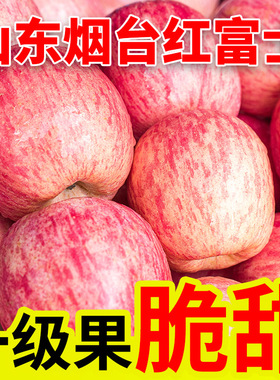 山东烟台红富士苹果10斤新鲜水果平安果栖霞丑脆甜整箱鲜苹果