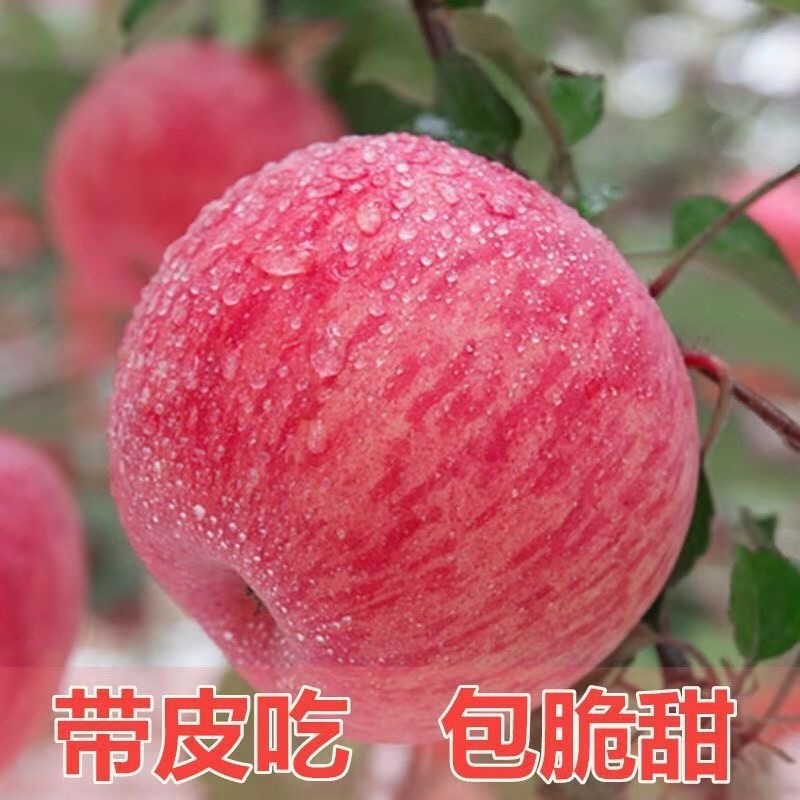 脆甜山东烟台红富士苹果苹果新鲜水果冰糖心苹果当季整箱批发包邮