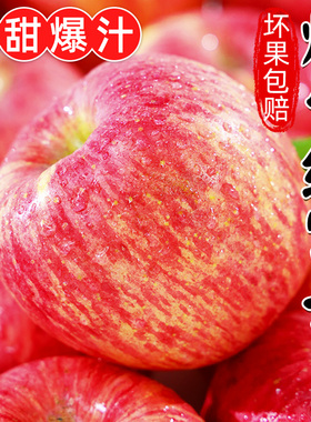 山东烟台红富士苹果水果新鲜10斤整箱包邮应当季冰糖心栖霞平果5