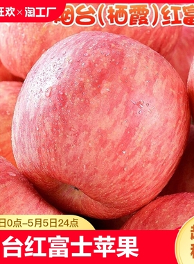 烟台红富士苹果水果10斤当季整箱正宗山东栖霞新鲜苹果包邮