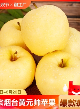 烟台苹果水果黄元帅新鲜水果粉面黄苹果黄金帅鲜果黄香蕉正宗整箱
