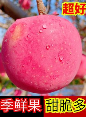 苹果水果新鲜当季山东烟台栖霞红富士苹果10斤冰糖心整箱包邮平安