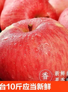 烟台红富士苹果10斤新鲜水果整箱山东栖霞脆甜冰糖心丑平果精选