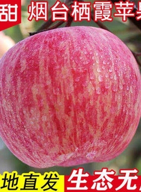 正宗山东烟台栖霞精品红富士苹果水果新鲜脆甜条纹红应季产地直发