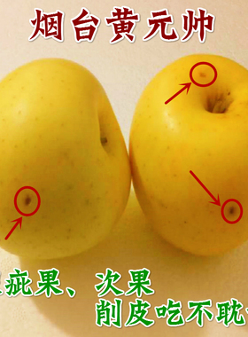 次果带疤粉面苹果烟台苹果水果新鲜黄元帅 黄金帅香蕉刮泥5斤