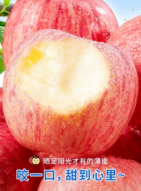 烟台红富士苹果10斤新鲜水果应当季栖霞萍果冰糖心丑平果整箱包邮