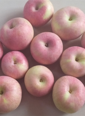 山东烟台小国光苹果 新鲜水果老树酸甜苹果包邮5斤自产自销农产品