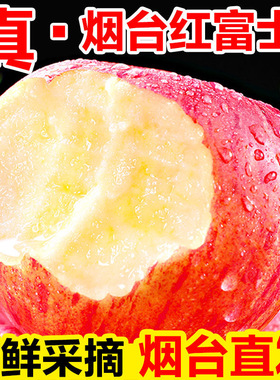 山东烟台红富士苹果生鲜水果新鲜应季脆甜整箱