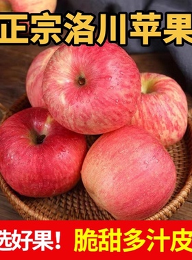 陕西洛川红富士苹果新鲜水果非烟台冰糖心苹果顺丰