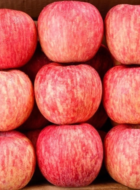 烟台红富士苹果5斤9斤水果新鲜栖霞当季现季脆甜苹果批整箱包邮