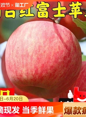 正宗山东烟台栖霞苹果水果新鲜当季整箱红富士一级脆甜3斤5斤包邮