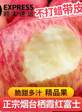 山东烟台红富士丑苹果栖霞特一级整箱新鲜水果脆甜多汁5/10斤包邮