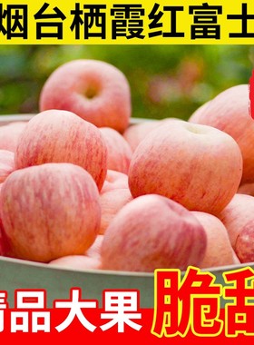 正宗山东烟台苹果栖霞红富士当季新鲜水果脆甜多汁一级条纹果整箱