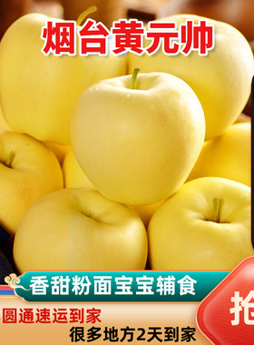 出口烟台苹果黄元帅苹果水果9斤粉面金帅当季新鲜黄香蕉宝宝辅食