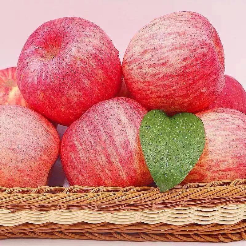 正宗山东苹果红富士10斤新鲜当季孕妇水果时令脆甜烟台一级果