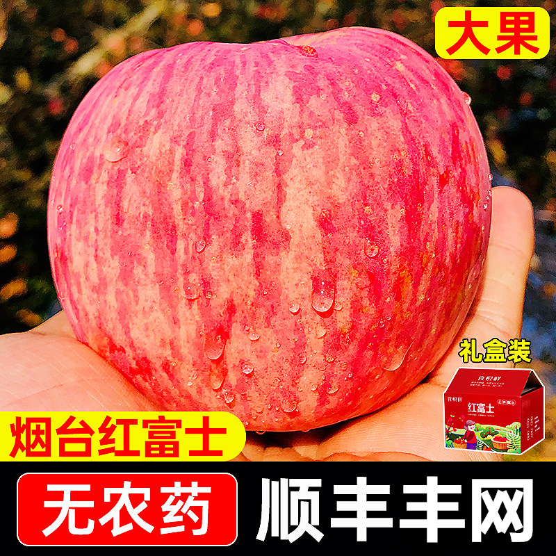 正宗山东烟台栖霞红富士苹果10斤脆甜新鲜水果当季整箱礼盒装送礼