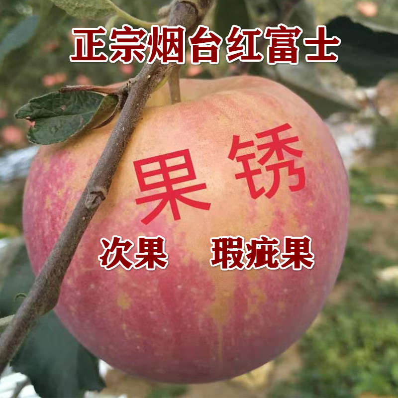 瑕疵果 红富士 次果烟台苹果 脆甜山东 新鲜水果 整箱5斤
