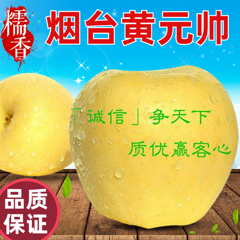 烟台黄元帅苹果黄金帅10斤粉面沙新鲜水果黄香蕉苹果老人孕妇刮泥