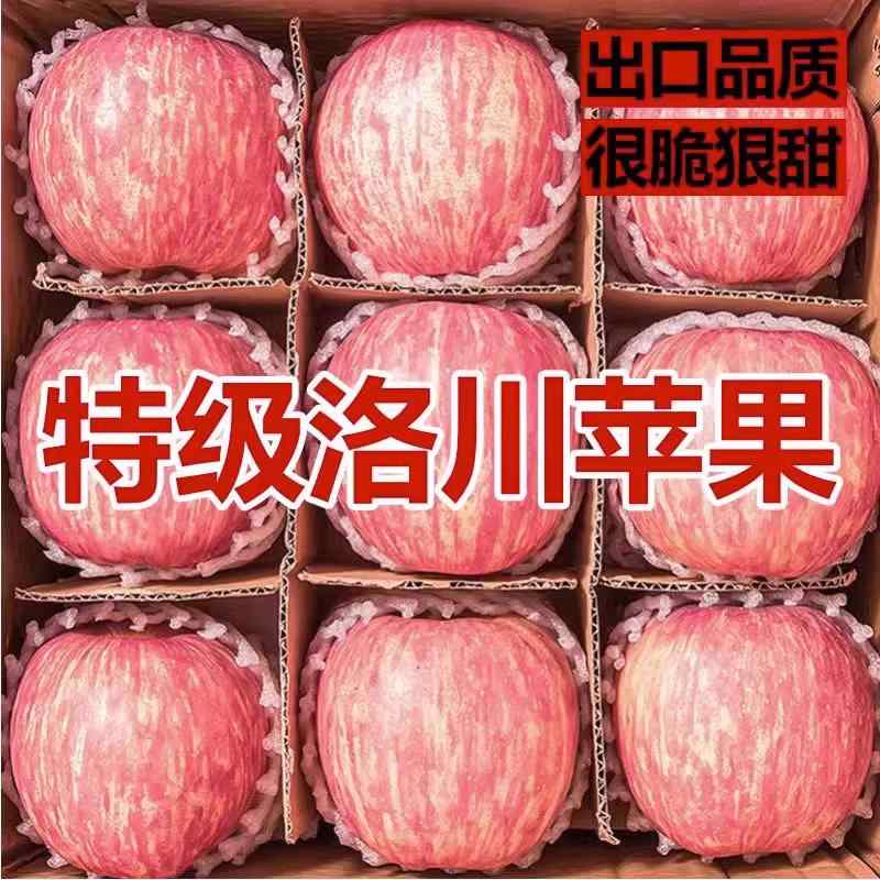 正宗山东烟台红富士10斤冰糖心精选苹果新鲜水果栖霞当季整箱现摘