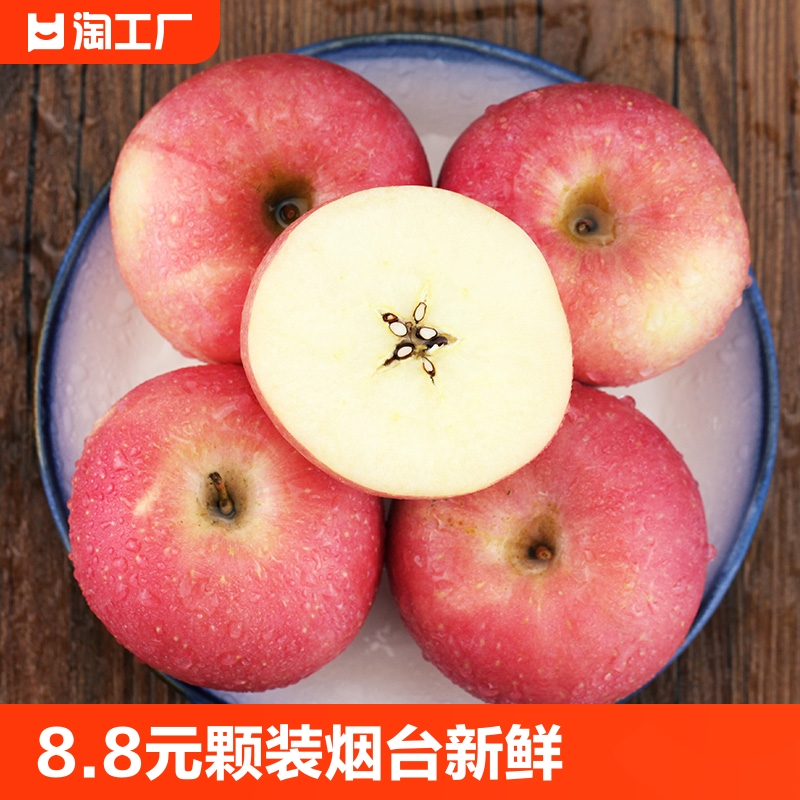 8.8元 6颗装 烟台红富士苹果水果新鲜应当季正宗山东栖霞苹果