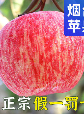 烟台红富士苹果新鲜水果10斤当季正宗山东栖霞冰糖心苹果整箱包邮