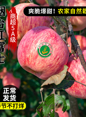 山东烟台栖霞特级红富士苹果10斤当季新鲜水果丑苹果冰糖心礼盒装