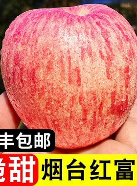 正宗山东烟台栖霞红富士苹果水果新鲜一级当季整箱孕妇脆甜