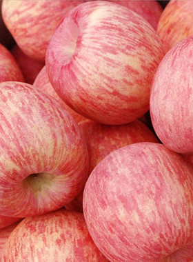 山东5烟台水果平果助农当季脆栖霞10新鲜苹果甜红富士一级斤