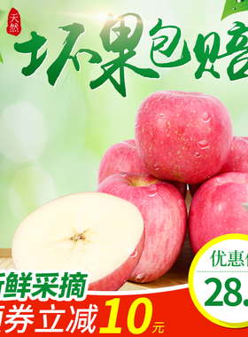 正宗山东烟台栖霞红富士苹果一级精品脆甜当季新鲜水果整箱10斤