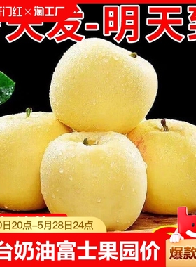 山东烟台奶油富士苹果10斤栖霞黄金苹果新鲜水果牛奶脆甜当季整箱