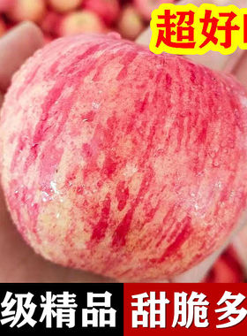 冰糖心苹果10斤山东烟台栖霞红富士苹果水果新鲜当季整箱