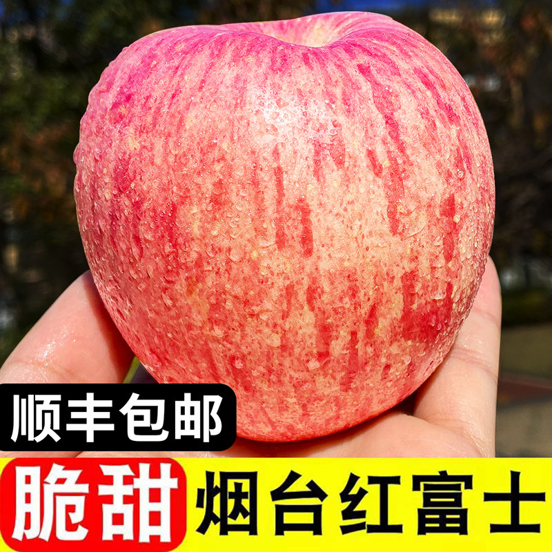 正宗山东烟台栖霞红富士苹果水果新鲜一级当季整箱孕妇脆甜