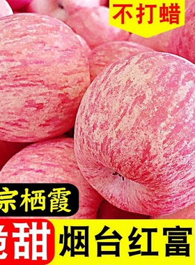 烟台水果山东栖霞红富士苹果新鲜一级精品冰糖心9整箱当季斤