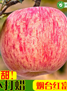 正宗烟台红富士苹果10斤栖霞当季新鲜水果3斤山东整箱脆甜新果