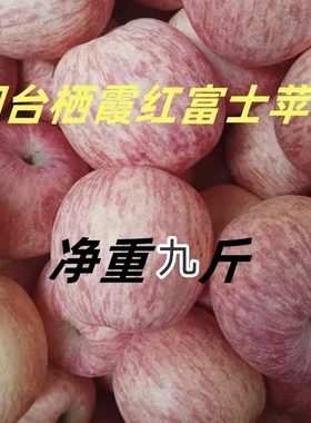 山东烟台栖霞苹果红富士苹果新鲜水果栖霞红富士条纹苹果时令水果