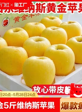 山东黄金维纳斯苹果新鲜应当季水果烟台苹果非黄元帅奶油富士整箱