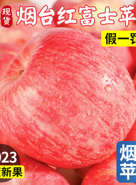 烟台红富士苹果水果10斤当季整箱正宗山东栖霞新鲜苹果平安果包邮