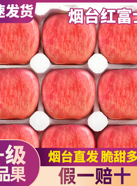 烟台红富士苹果水果9斤当季整箱正宗山东栖霞新鲜苹果包邮