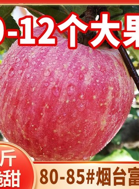 山东烟台红富士苹果5斤新鲜水果正宗栖霞苹果不打蜡带皮吃脆甜