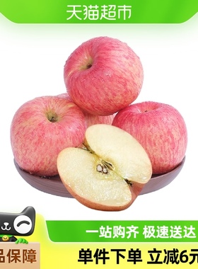 巧域山东烟台红富士苹果6粒新鲜水果脆甜多汁包邮